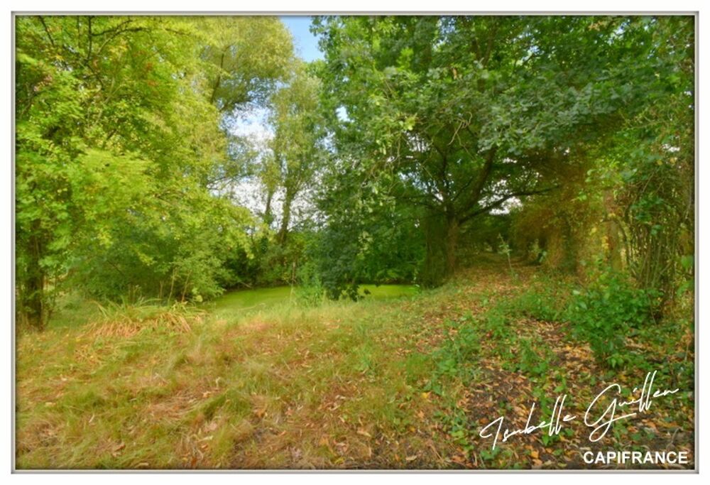 Vente Maison Propriété à vendre à Touchay : 2 maisons avec 4.5 hectares TOUCHAY (18) Touchay