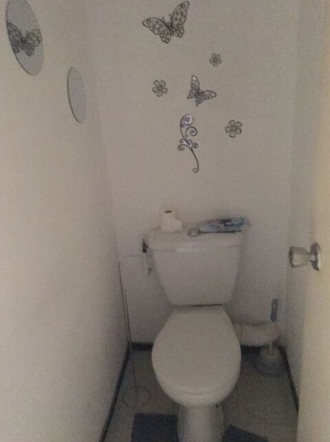  Appartement � louer 1 pi�ce 24 m�