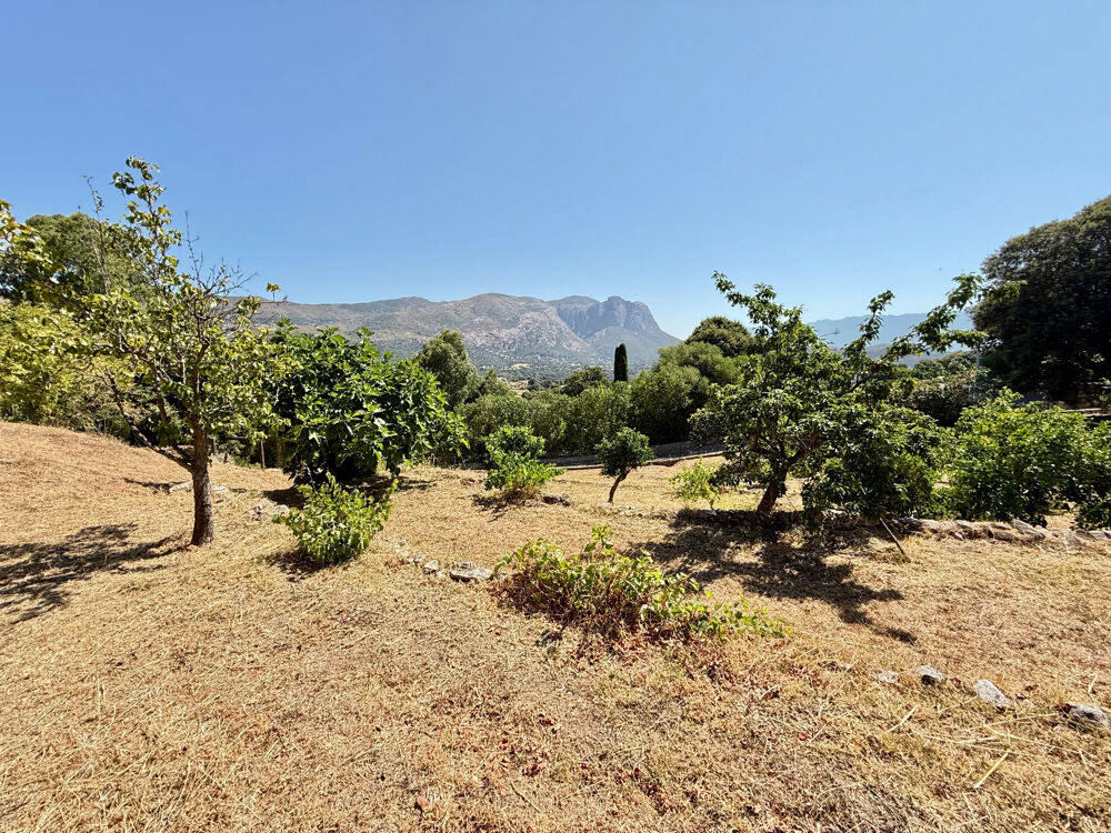 Vente Terrain CORSE (20) commune d'ALATA : A vendre magnifique terrain à bâtir, viabilisé Alata