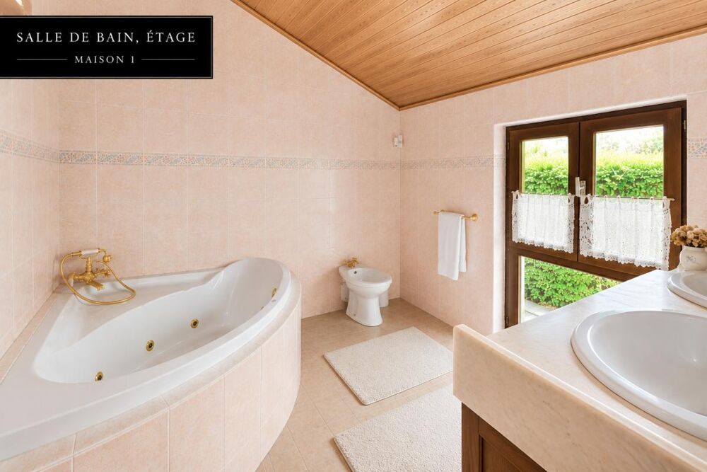 Vente Maison Ensemble immobilier, deux maisons indépendantes sur terrain paysager de 1302 m² Chassieu