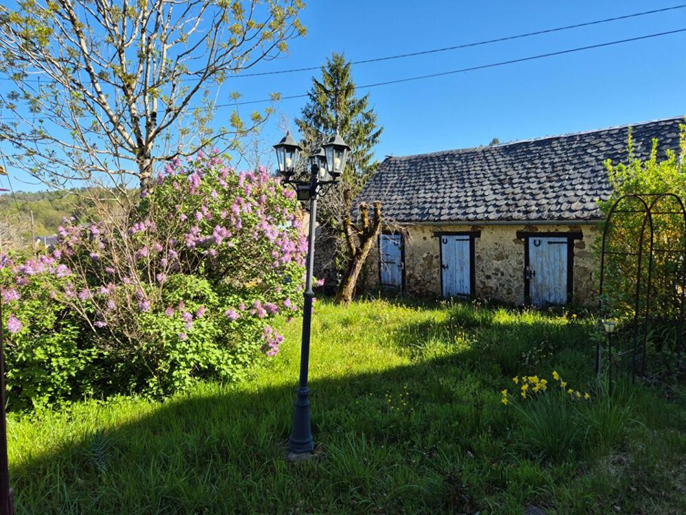 Maison Saint Bonnet Elvert 11 pièce(s) 384 m2