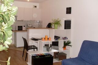  Appartement � louer 2 pi�ces 41 m�