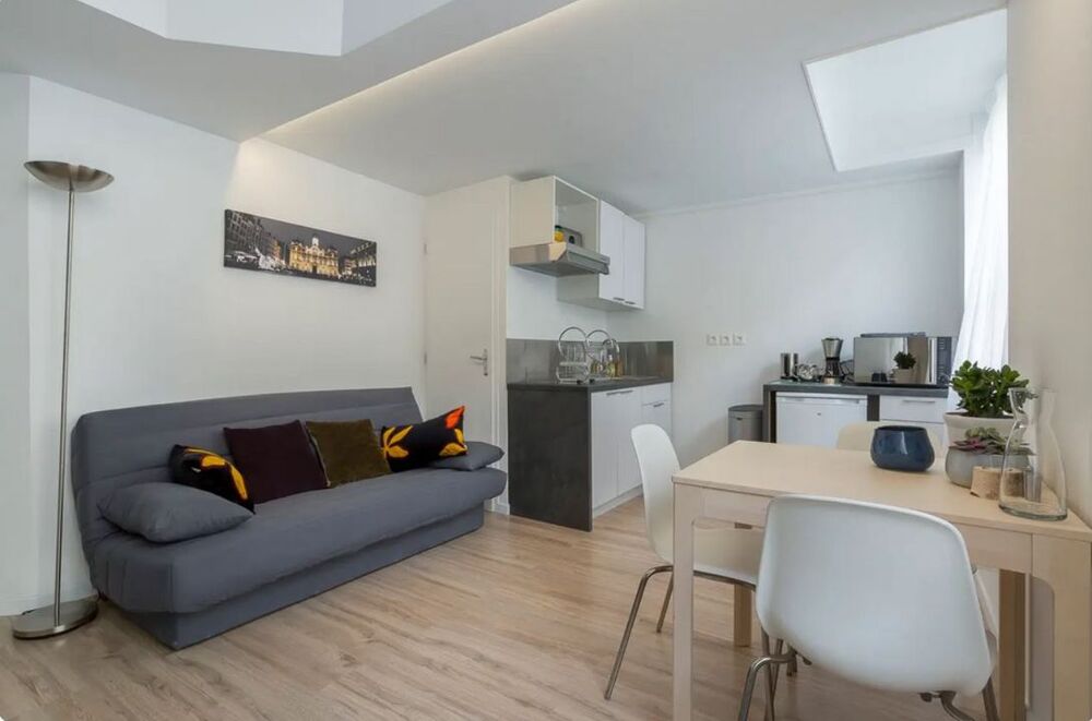 Location Appartement Appartement de 29m2 à louer sur Lyon 01 Lyon 1