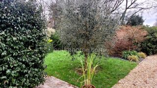  Maison � vendre 2 pi�ces 49 m�