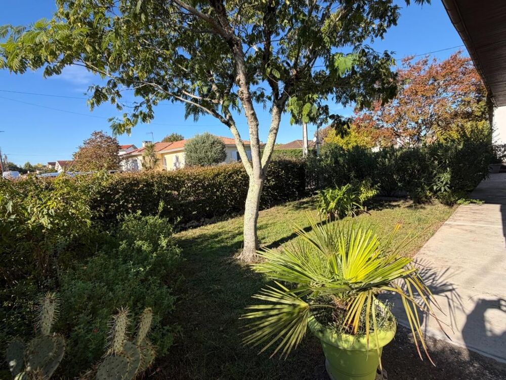 Vente Maison Maison de plain pied de 5 pièces de 136M2 (idéal activité professionnelle) proche des commodités MONT DE MARSAN (40) Mont de marsan