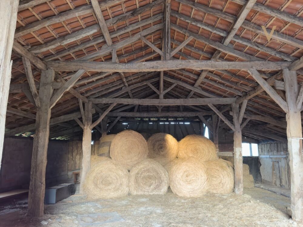 � vendre  Propri�t�/ch�teau Viller�al (47210)