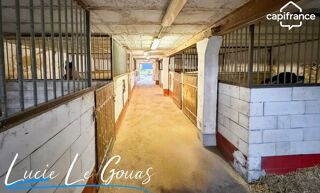  Propri�t�/ch�teau � vendre 9 pi�ces 239 m�