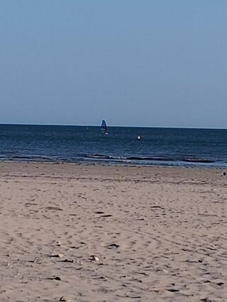  Appartement � vendre 2 pi�ces 34 m�