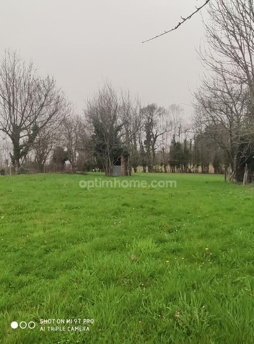 Vente Terrain Commune de Mazerolles, L'Arbre. Beau terrain arboré avec CU de 1620 m² Mazerolles