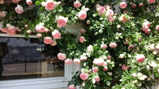  Maison � vendre 5 pi�ces 87 m�