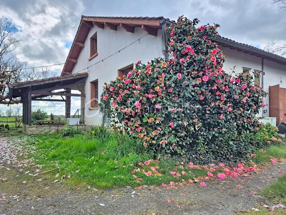 Maison à rénover avec terrain de 6 200 m² Castelsarrasin