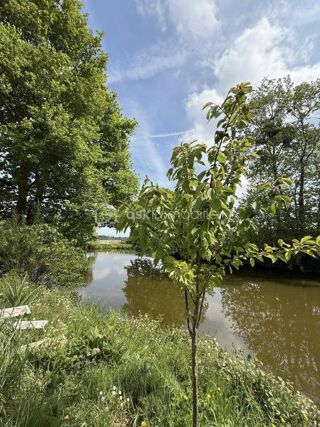  Terrain � vendre 2950 m�