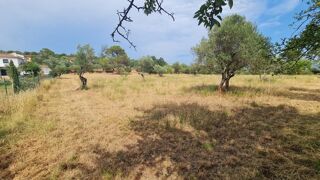  Terrain à vendre 3625 m²