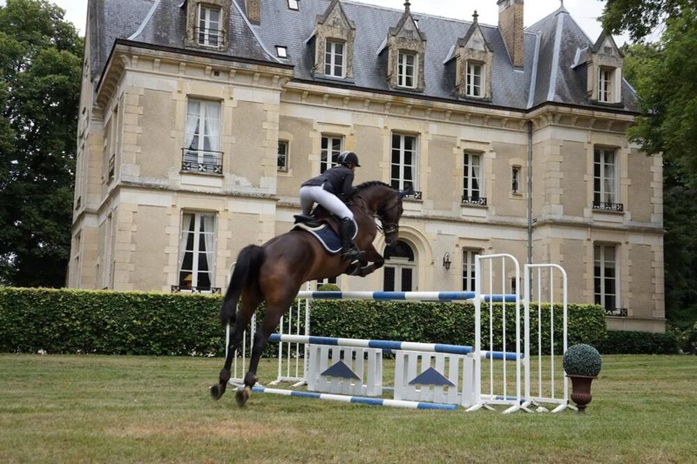 � vendre  Propri�t�/ch�teau Sancerre (18300)