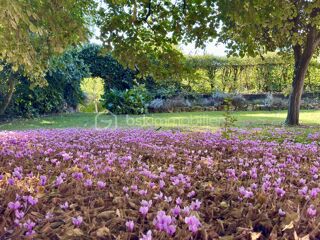  Maison  vendre 11 pices 333 m