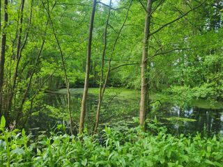  Terrain � vendre 4985 m�