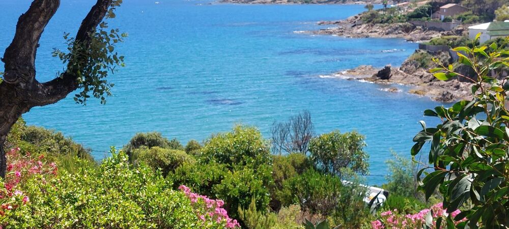 Location Appartement Appartement de 32m2 à louer sur Fréjus Frejus