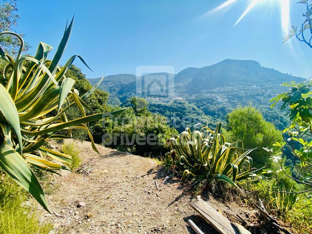 Vente Terrain Terrain Castagniers 1400 m2 Castagniers