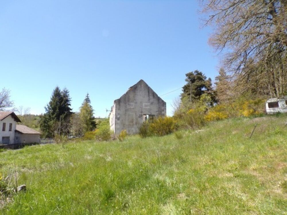 Vente Terrain Dpt Lozère (48), à vendre ROCLES Idéal investisseur terrain viabilisé 1078m² environ Rocles