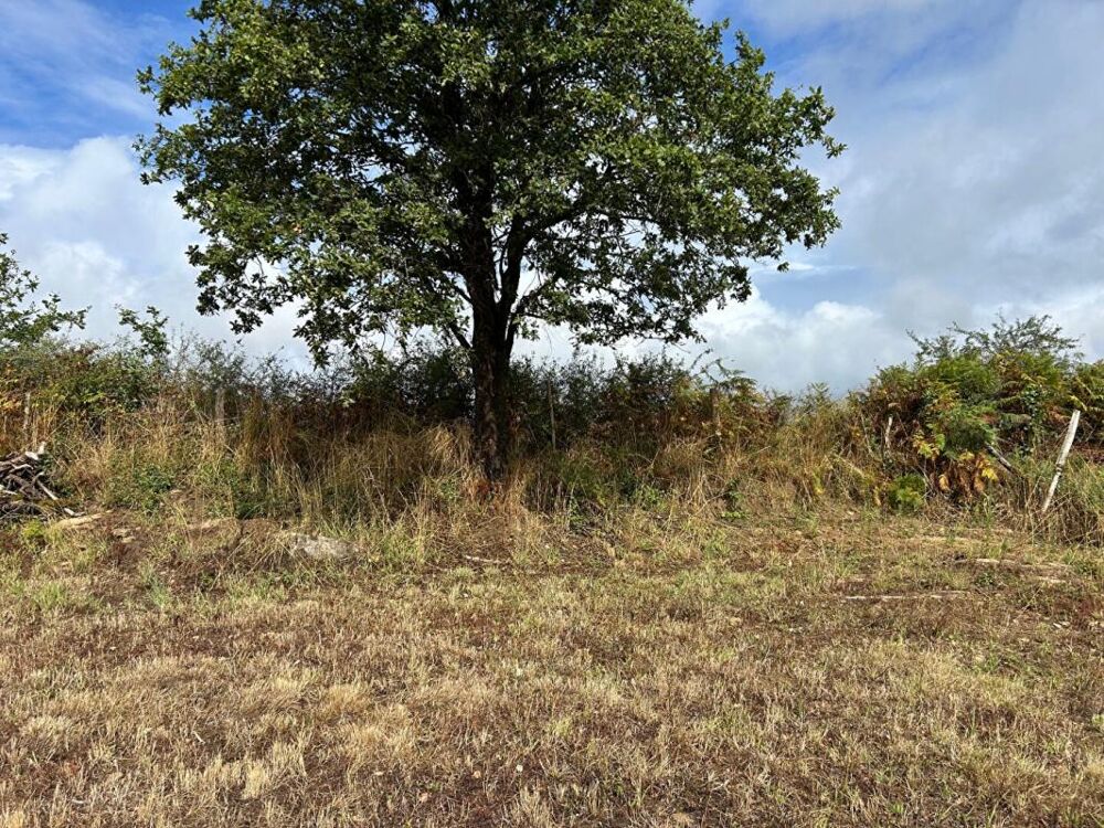 Vente Terrain Au calme, beau terrain constructible de 1306 m2 à Vue (44640) Vue