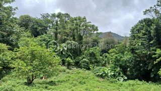  Terrain � vendre 466 m�
