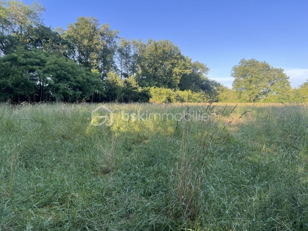 Vente Terrain Terrain de 932m2 sur la commune de Tercé Terce