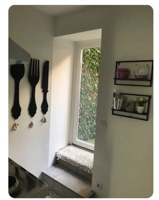  Appartement à louer 1 pièce 45 m²