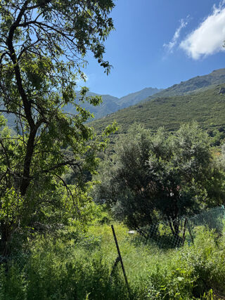  Terrain � vendre 623 m�