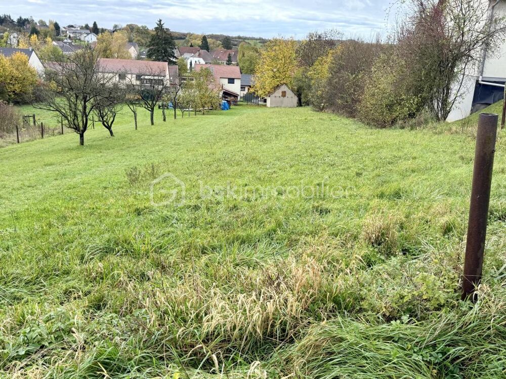 Vente Terrain Terrain à bâtir avec vue dégagée Diebling