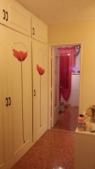 Appartement � louer 2 pi�ces 45 m�