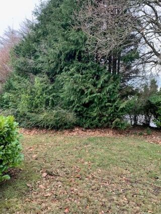  Terrain � vendre 605 m�