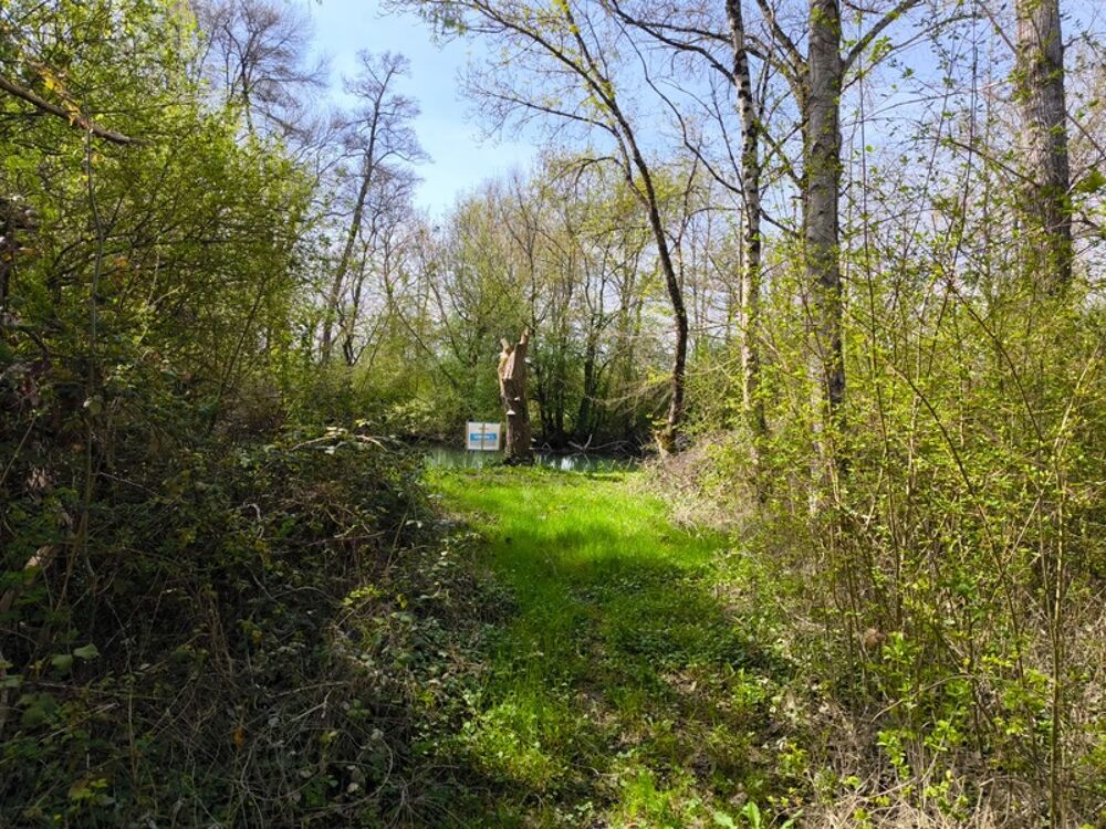 Vente Terrain Terrain non constructible bordure Charente à vendre  VARS (16) Vars