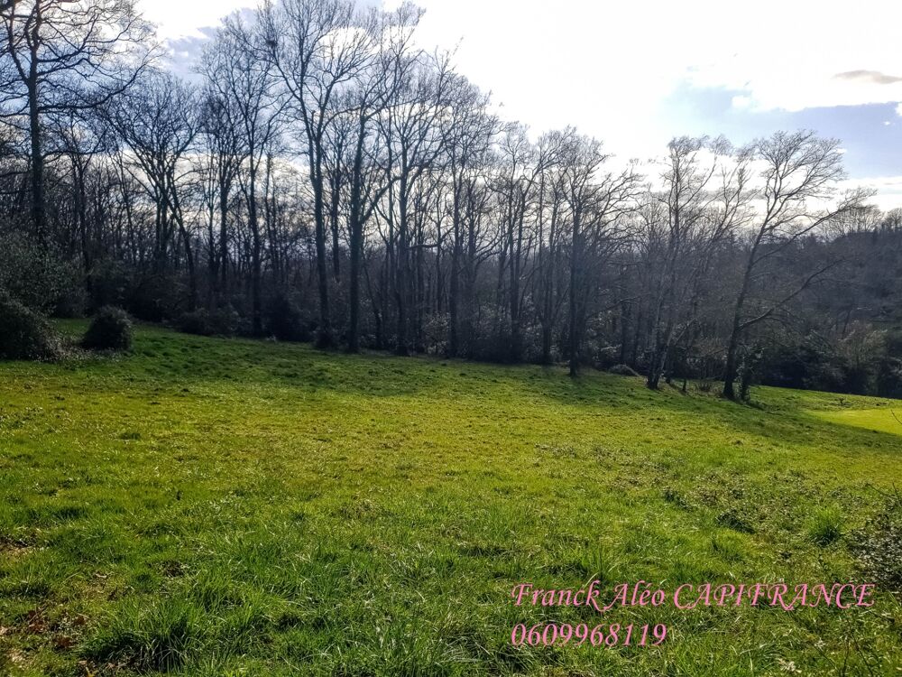 Vente Terrain Dpt Pyrénées Atlantiques (64), à vendre BUROS terrain Buros
