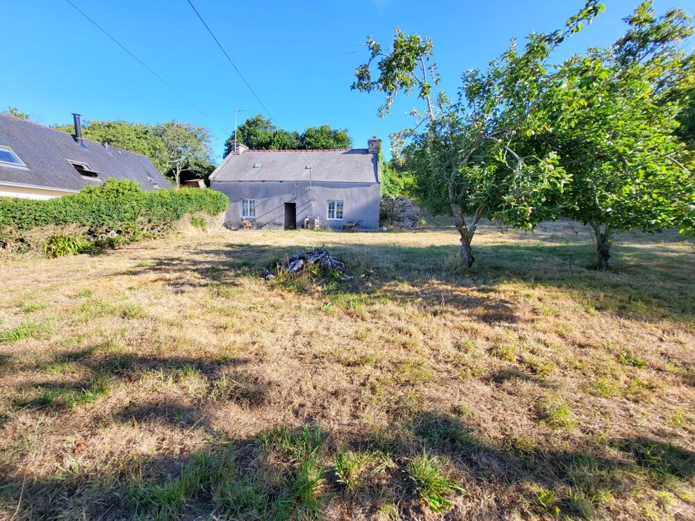 Maison contemporaine à vendre 8 pièces ARGOL (29)