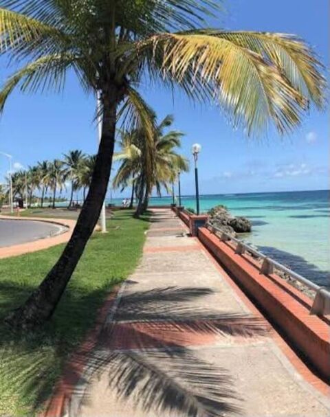 Fonds de commerce &agrave; vendre SAINTE ANNE (971) 110000 97180 Sainte anne