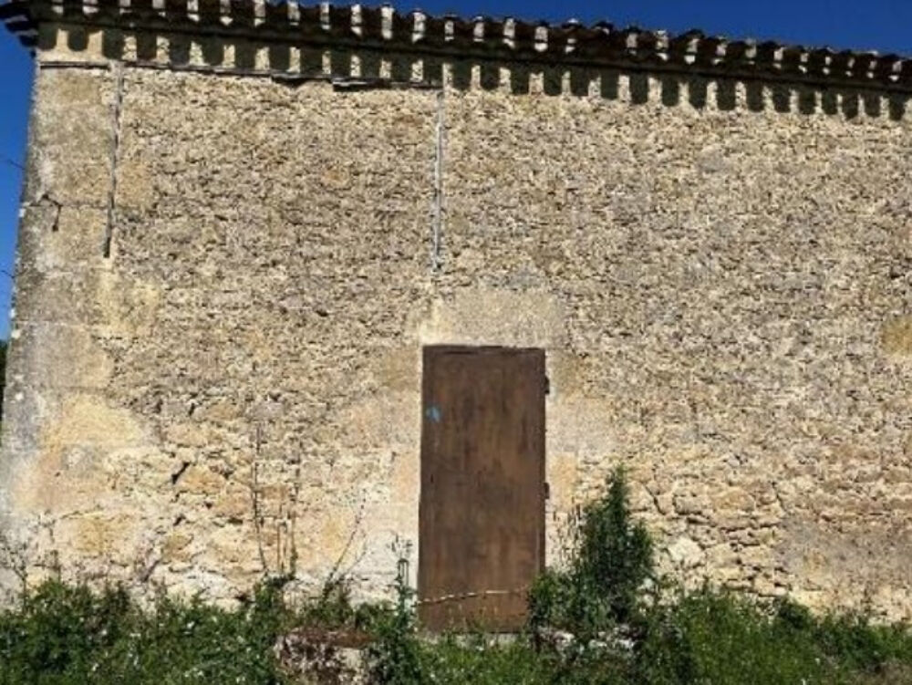 � vendre  Propri�t�/ch�teau Doulezon (33350)