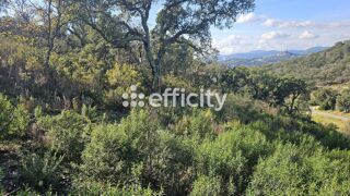  Terrain � vendre 5000 m�