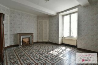  Hôtel Particulier à vendre 13 pièces 345 m²