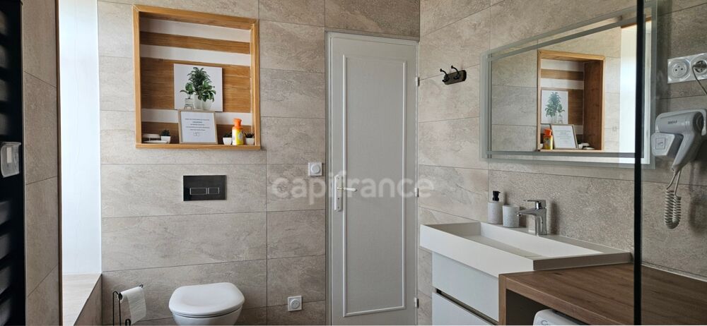 Noyers-sur-Cher (Loir-et-Cher), à vendre LONGERE 11 pièces de 232 m²