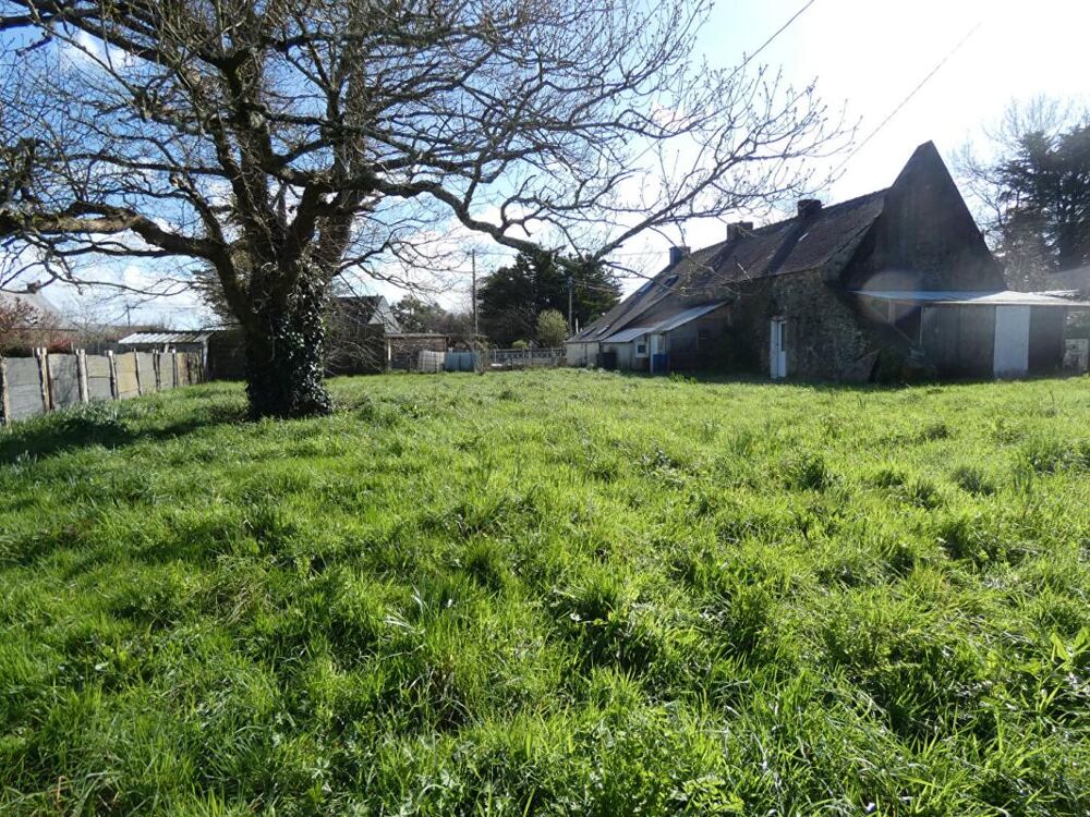 Maison 2 pièce(s) 55 m2