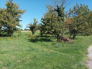  Terrain à vendre 1628 m²