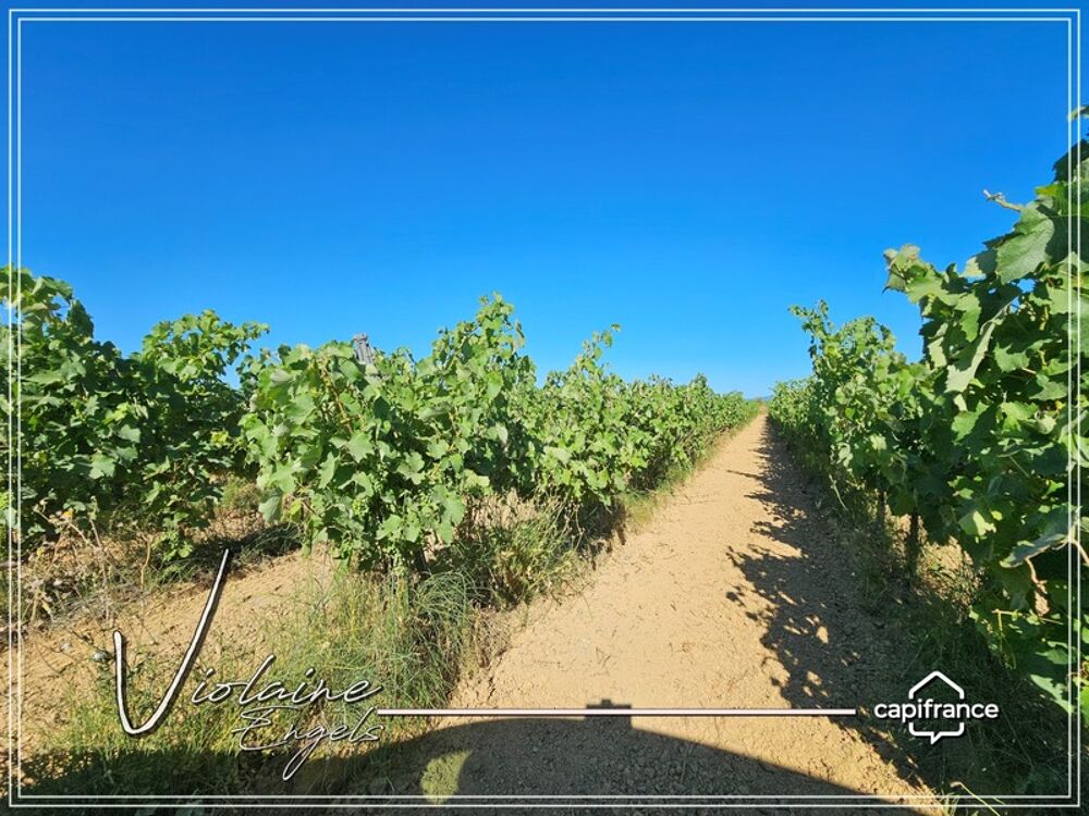 � vendre  Propri�t�/ch�teau Cesseras (34210)