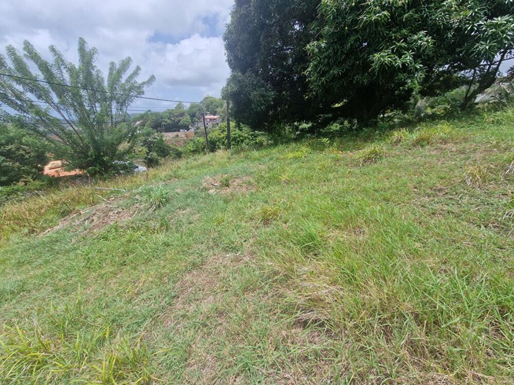 Vente Terrain Belle parcelle sur la commune du François Le francois