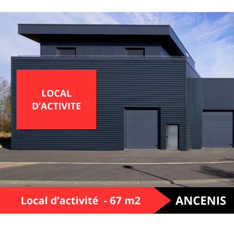 ANCENIS SAINT GEREON - ENTREPOT, LOCAL D'ACTIVITE 133985 44150 Ancenis saint gereon