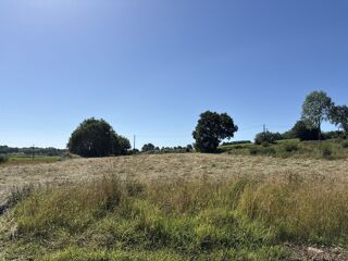  Terrain à vendre 14000 m²