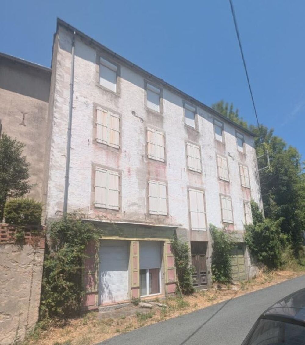 Vente Maison Maison Vabre 7 pièce(s) 260 m2 Vabre