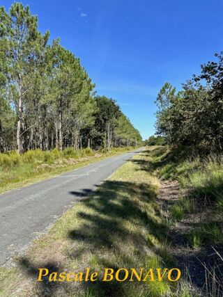  Terrain  vendre 1 pice 2770 m