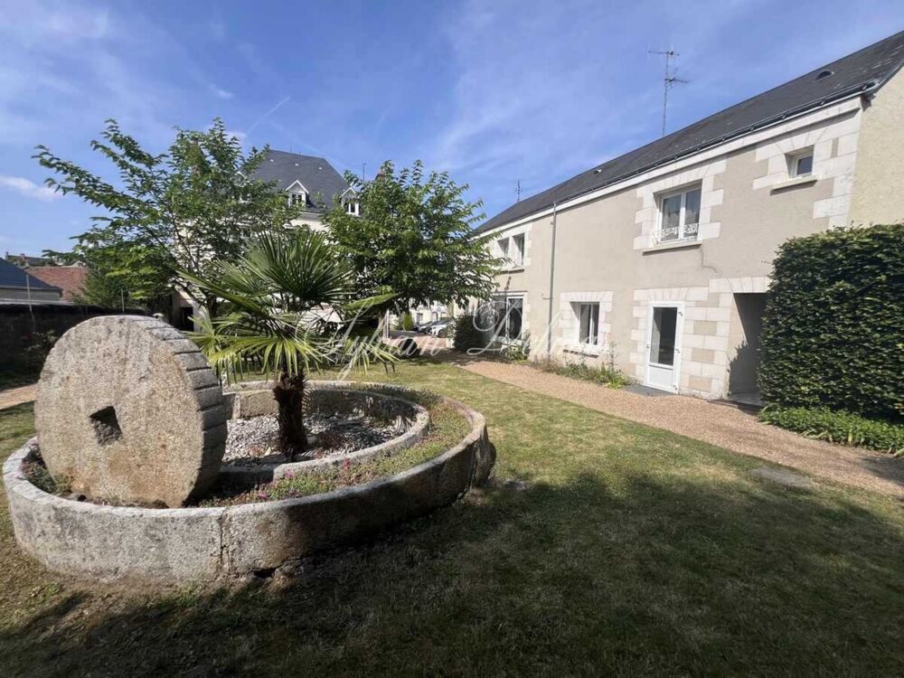 à vendre  Propriété/château Amboise (37400)