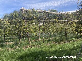  Terrain � vendre 40589 m�