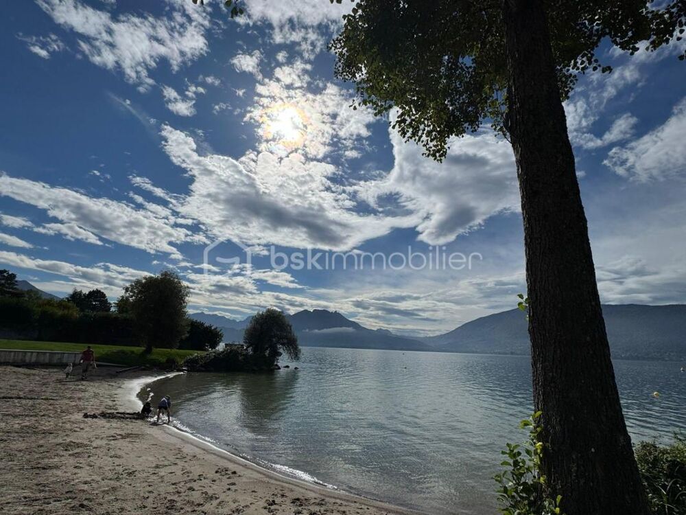  vendre  Duplex/triplex Veyrier-du-Lac (74290)